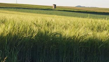 Ferienwohnung im Schwarzwaldhaus - Foto 3