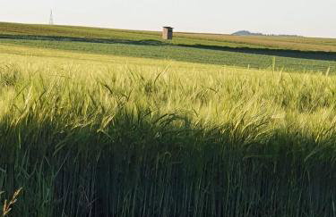Ferienwohnung im Schwarzwaldhaus - Foto 3