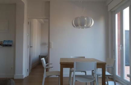 Larramendi Terrace Apartment - Foto 7