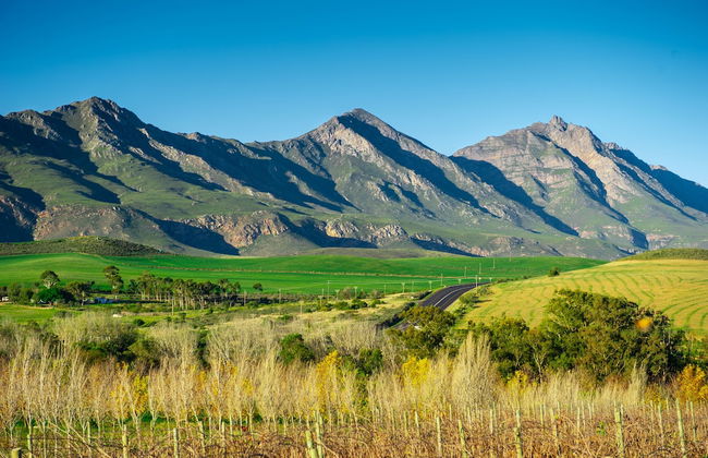 Jan Harmsgat Country House - Foto 78