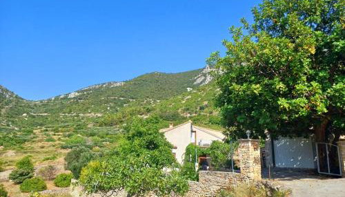 Apartman Mihaela - Foto 3