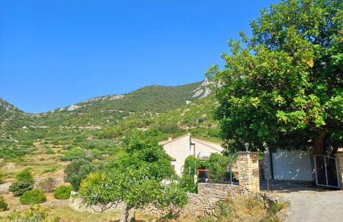 Apartman Mihaela - Photo 3