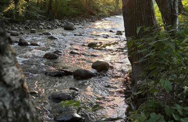 MapleCastle == HotTub, RiverSide, IndoorHummock, FirePlace, BackYard - Foto 67