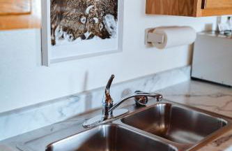 Teton Cabins - Foto 8