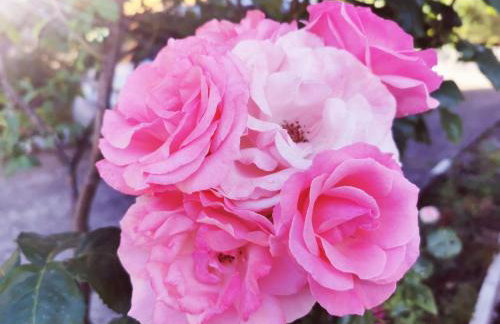 Holiday Home für 4 Personen ca- 65 m² in Brod Moravice- Gespanschaft Primorje-Gorski - G by Interhome - Foto 13