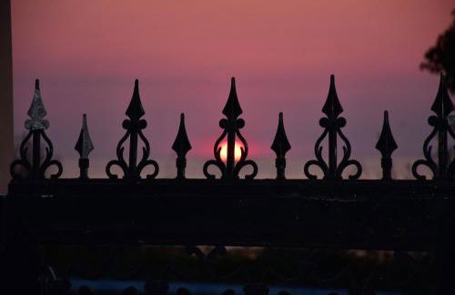 Salt and petals - Foto 49