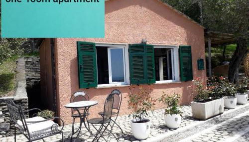 Tigullio Vacations panoramica apartments - Foto 2