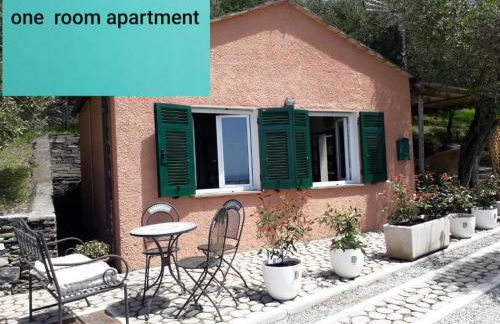 Tigullio Vacations panoramica apartments - Foto 2