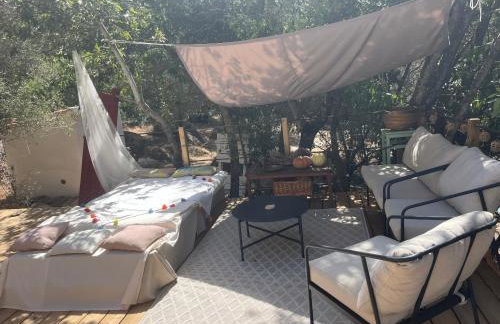 Maison typique Corse écologique - Photo 15