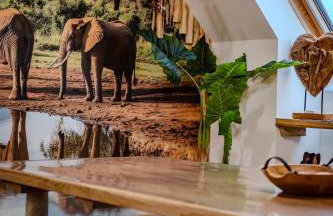 ô Safari appart 8p prôche de Boulogne-sur-mer - Foto 61