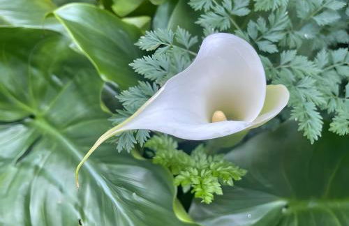 Casa do Alto (top floor apartment) - Foto 73