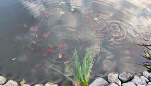 Ferienhaus Bliev-Hee Nr 4 - Foto 4