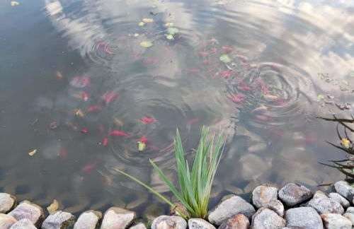 Ferienhaus Bliev-Hee Nr 4 - Foto 4