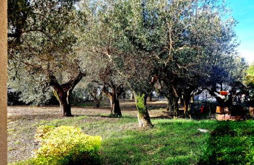 Torre del Tempo - Photo 9