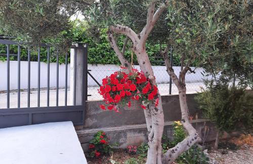 Studio apartman Mare - Foto 10