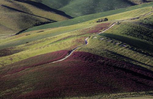 Casa Tarrini - Foto 35