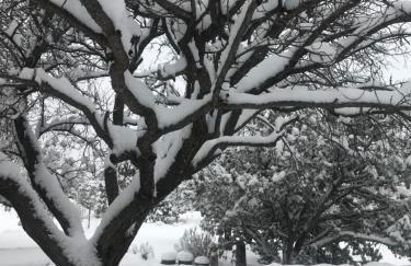 Historic Adobe 1 acre compound ultimate Santa Fe immersion Classic & Dreamy - Foto 30