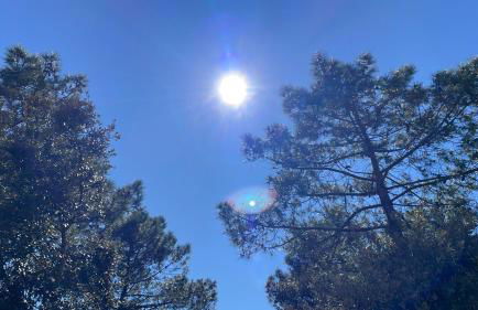 La maison de la plage - Foto 12