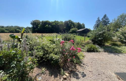 Chalet au calme avec terrasse sur belle propriété - Foto 36
