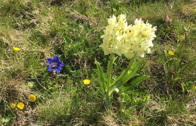 Amici 1. OG West - Foto 51