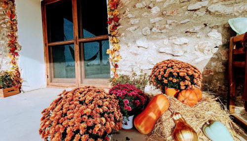 Masia Sisqueta - Photo 5