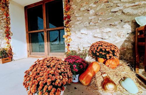 Masia Sisqueta - Photo 5