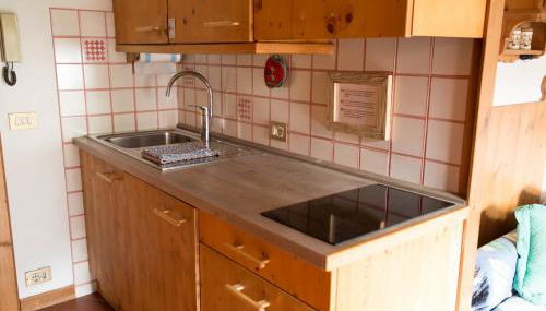 Cristallo & Faloria Suite Apartments - Foto 4, stove