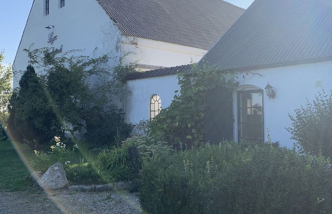 Bäddar & Ängar - Photo 62