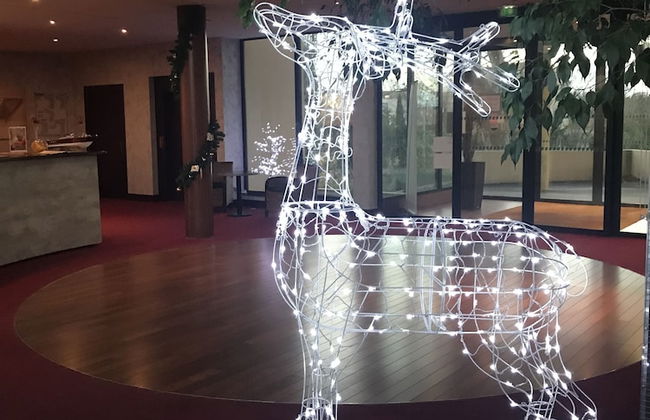 Iles du Gua Suites - Photo 45