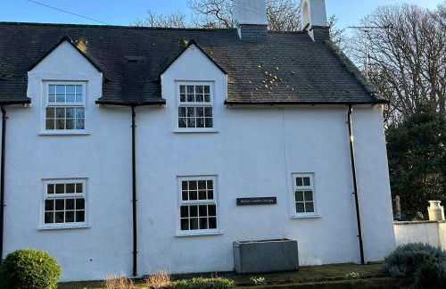 Bodior Garden Cottage Bach - Photo 23