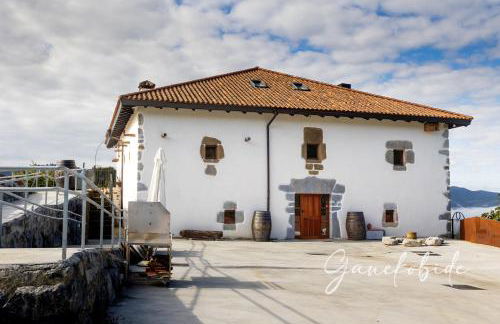 Ganekobide - Foto 19