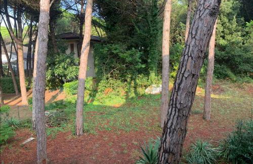 Apartment in Eraclea Mare 40761 - Foto 27