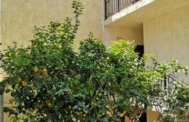 Katerina Apartments - Foto 25