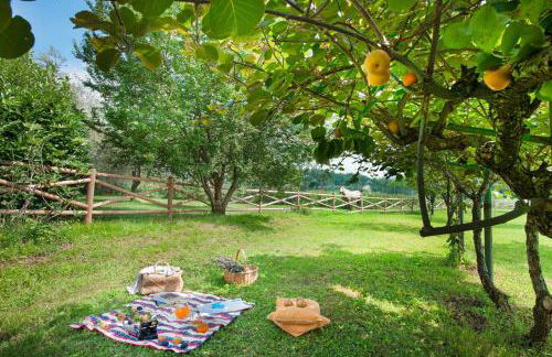 Olea Dei Holiday Apartments - Foto 27