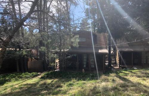 Forest Cabin 3 Bear's Den - Photo 11