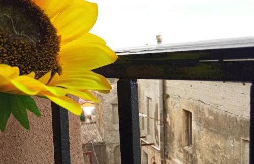 Le Stanze dello Spassetto - Foto 24