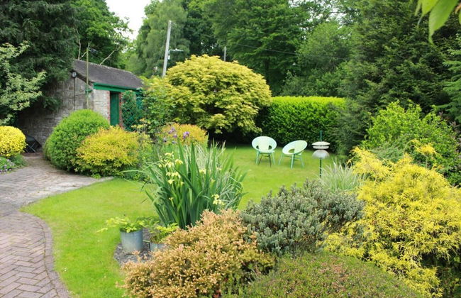 Colourful Forest of Dean Pikehouse - Foto 19