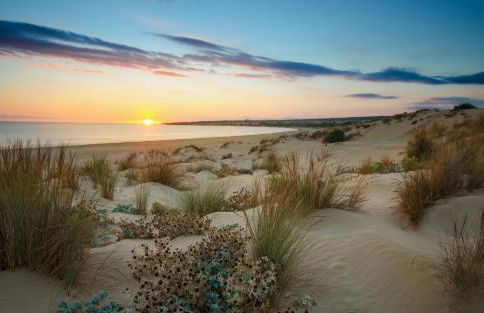 Il Patio - Villa indipendente con ampio cortile e giardino interno - Foto 23