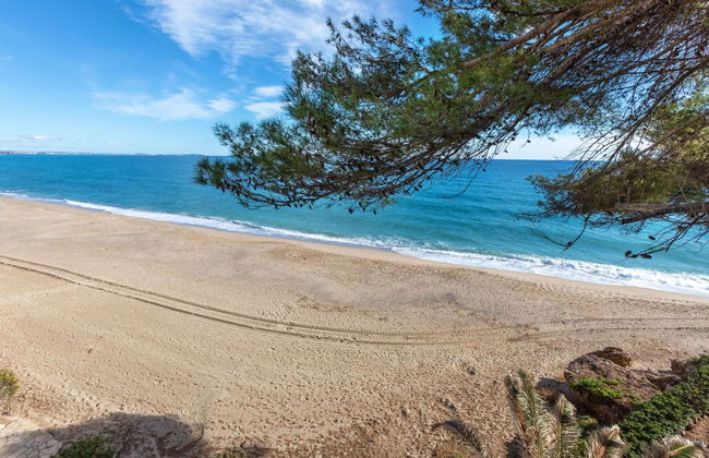 Miami Palace - Foto 19