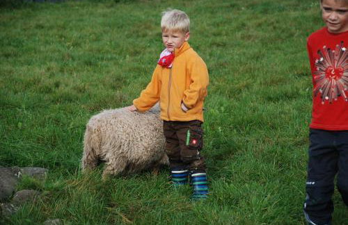 Ferienwohnungen Landgasthaus Janshen - Foto 21