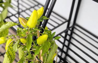 Haus Grünewald Unsleben - Foto 94