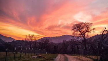 Matanah Meadows Farm, Great for 2 Families, Sequoia National Park and Working Farm - Foto 5