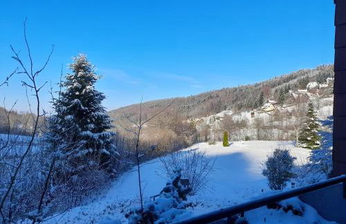 Schwarzwald Pur - Foto 44