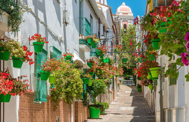 Estepona Guided Tour - Photo 1