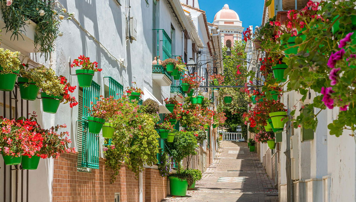 Visita guidata di Estepona