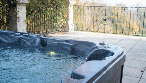 Chateau d 'Echenevex, Geneva - Foto 4