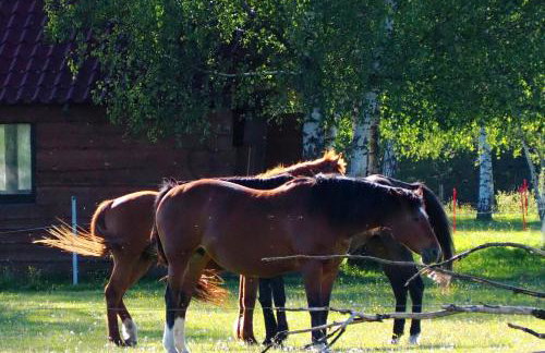 Domek w górach - Foto 25