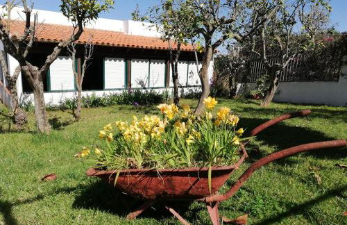 CASA RURAL LIMÓN Y SOL - Foto 1