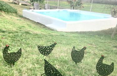 El Lagar de los Abuelos - Foto 2