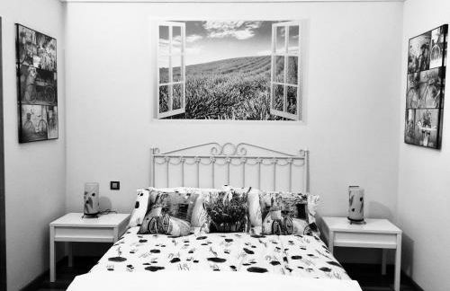 Pozo Izquierdo Global Paradise - Foto 7